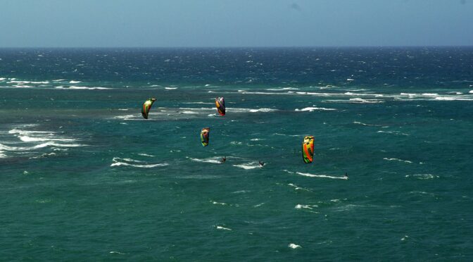 Kitesurfers doing a downwinder and wave riding in Cabarete Dominican Republic